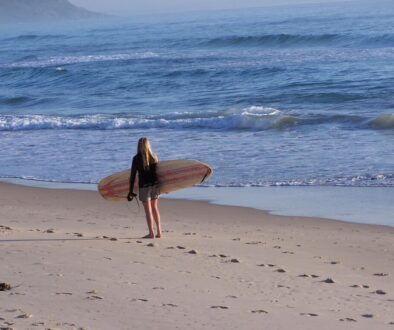 beach surfer sea ocean wate blue 387377
