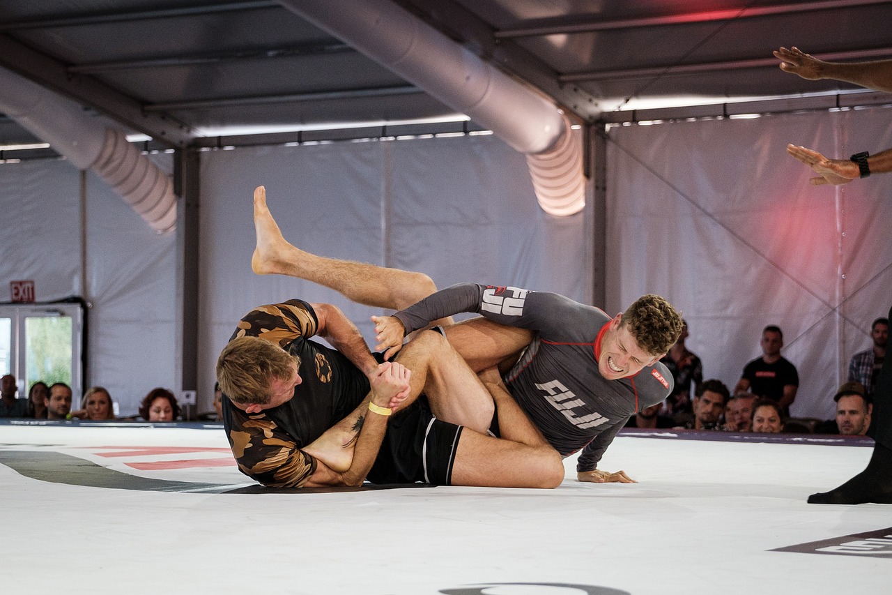 bjj jiu jitsu jiu jitsu jiujitsu 8111390 bjj jiu jitsu jiu jitsu jiujitsu 8111390