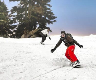 snowboarding snow snowboard winter 4878696